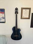 Winzz Acoustic-Electric Guitar